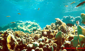 oceans