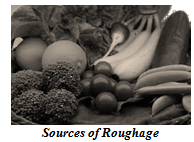 sources of roughage