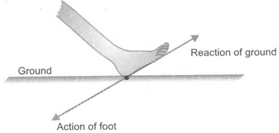 IMPULSE DURING AN IMPACT OR COLLISION