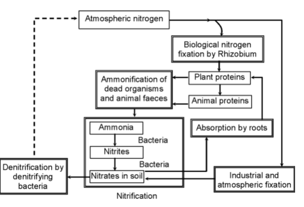 THE WATER-CYCLE OR HYDROLOGICAL CYCLE