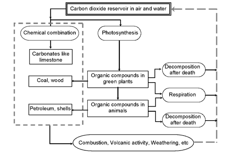 water cycle