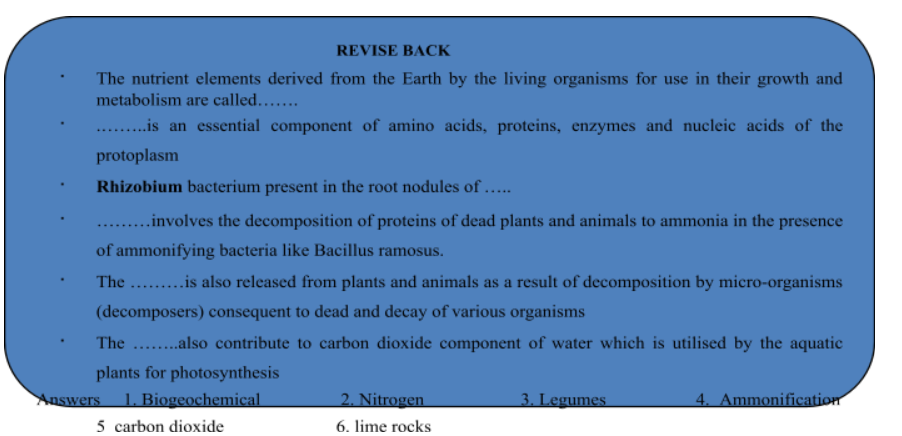 water cycle