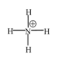 COVALENT BOND