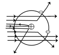 Atomic Models 