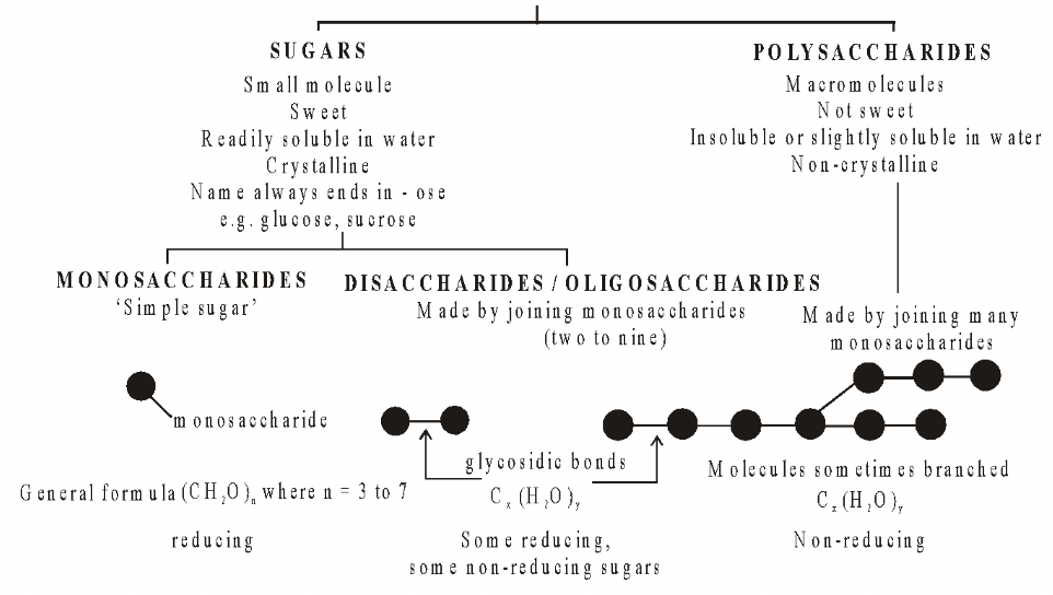 Carbohydrates
