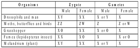 sex chromosomal composition
