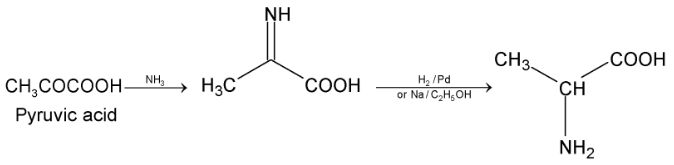 Liquid Solution 