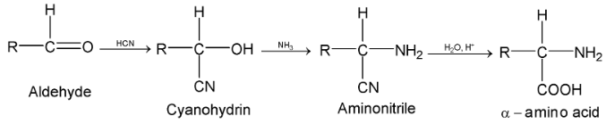 Liquid Solution 