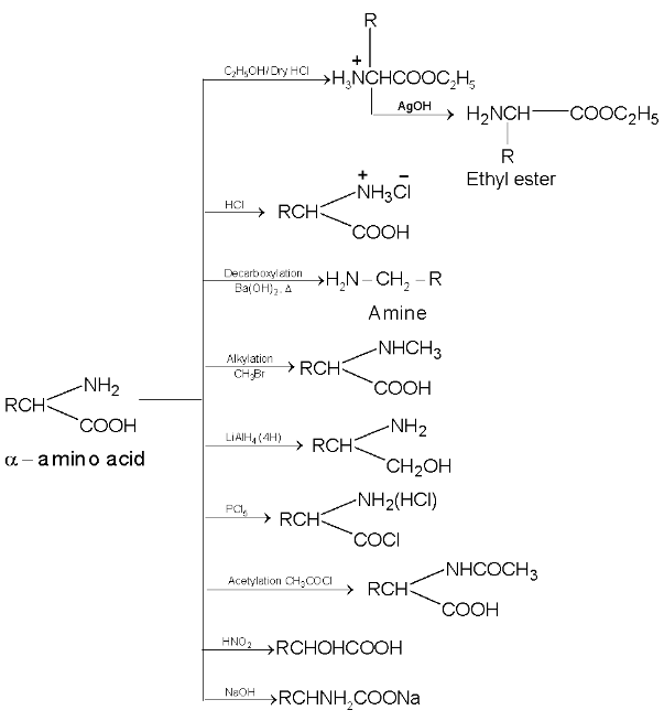 Liquid Solution 