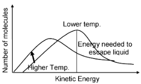 Abnormal Molecular Weight And Van't Hoff Factor