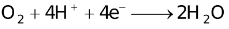 Qualitative Aspects Of Electrolysis