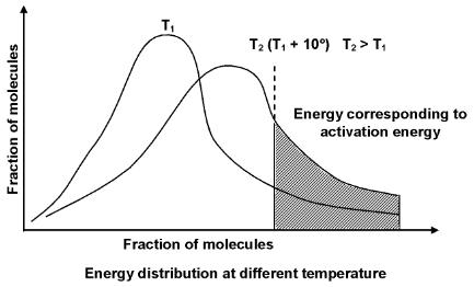 Factors Affecting The Rate Of A Chemical Reaction