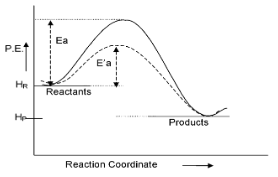 Factors Affecting The Rate Of A Chemical Reaction
