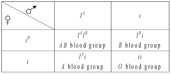Abo Blood Groups In Human Beings