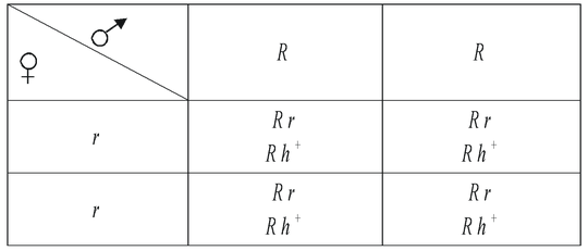 Abo Blood Groups In Human Beings