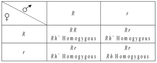 Abo Blood Groups In Human Beings
