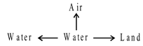 Adaptation