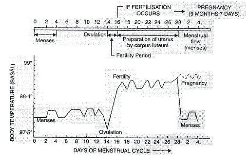 Birth Control