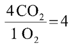 Respiratory Quotient (RQ)