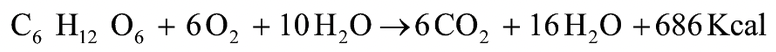 Cellular Respiration