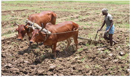 plough