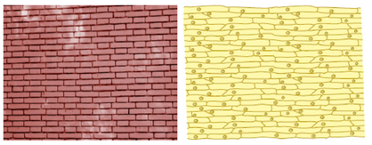 brick wall & onion peel