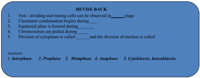 CELL DIVISION