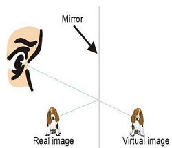 https://www.yorku.ca/eye/mirror%20optics.jpg