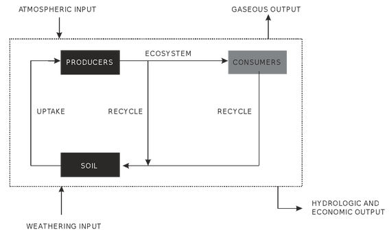 Nutrient Cycle