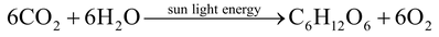 Experimental Evidence by Urey & Miller (1952)