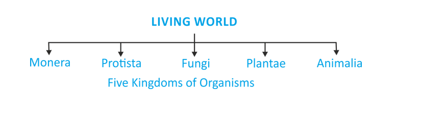 Four Kingdom system of classification