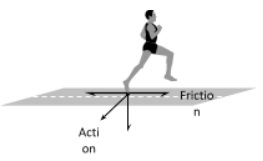 Graph between applied force and force of friction
