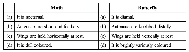 General Topics