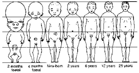 Growth Curve
