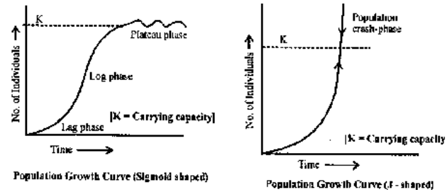 Human Population Growth Curve