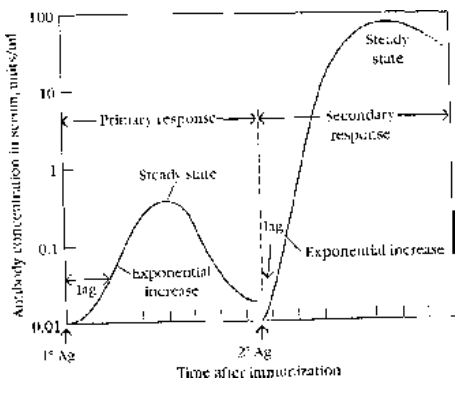 Immune Response