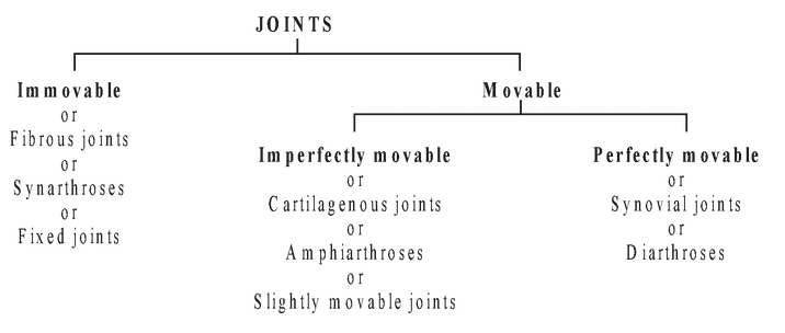 Joints