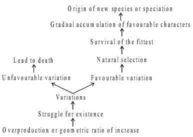 Central Theme of This Theory 