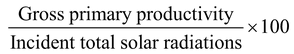 Ecological Pyramid
