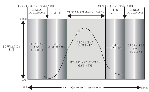 Range Of Tolerance
