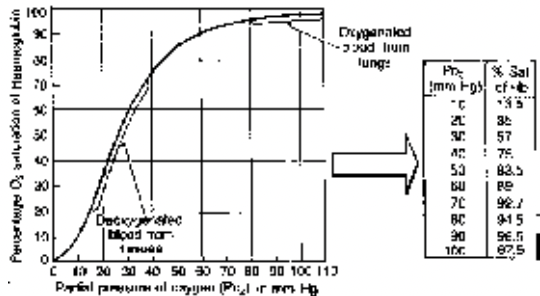 Factors Affecting Hb-O2 Dissociation Curve