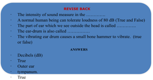 About The human ear 