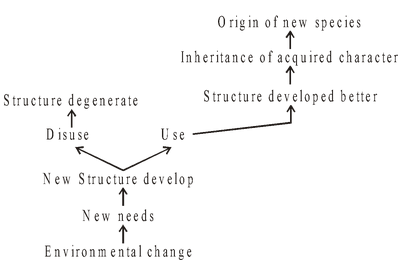 Theories of Organic Evolution