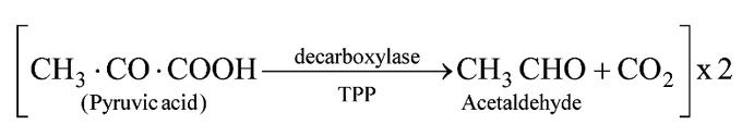 Types Of Respiration