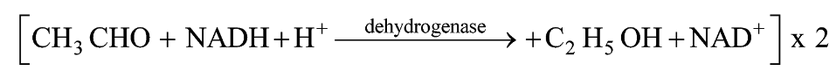 Types Of Respiration