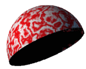 Hemisphere