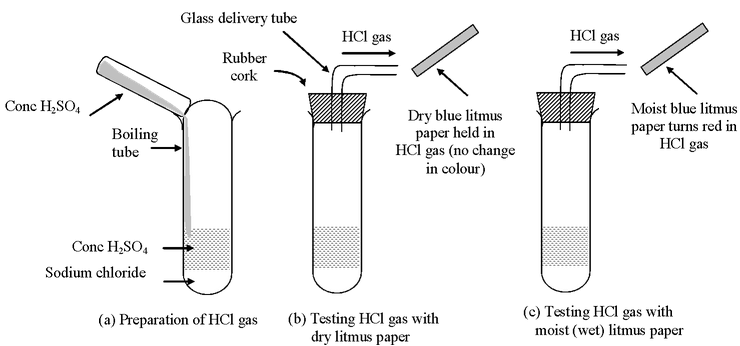 acid bases and salts