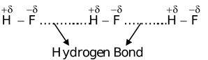 Hydrogen Bonding