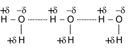 Hydrogen Bonding