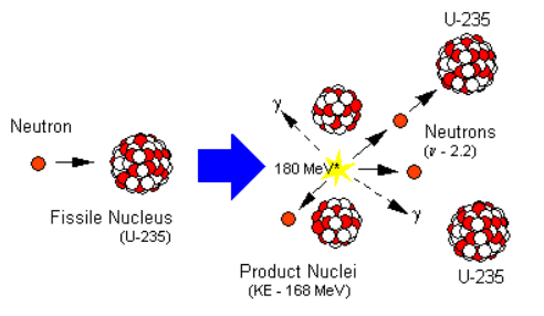 fission.gif
